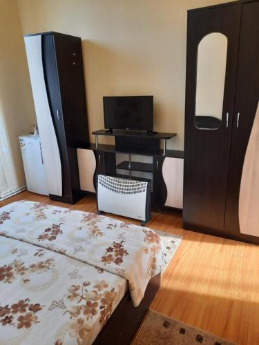 a bedroom with a desk and a bed and a table at Casa Ovi și Simo in Haţeg