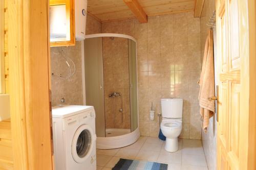 a bathroom with a washing machine and a toilet at Holiday Home Skadar Lake in Arbneš