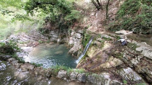 別荘の近くで見られる自然の景観