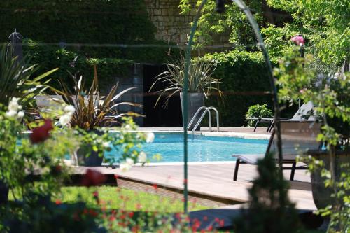 a swimming pool in a garden with plants at Le Prieure in Villeneuve-lès-Avignon