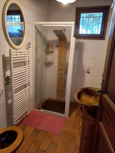une salle de bain avec douche et lavabo dans l'établissement Bas de villa, 2 terrasses, piscine, SPA, sauna..., à Neffes