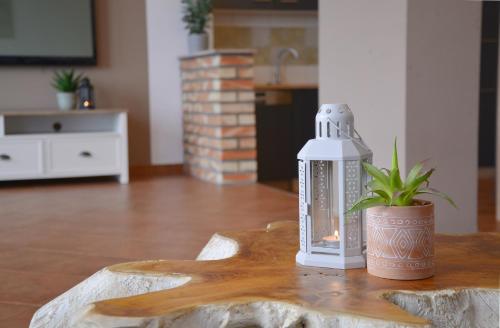 a lantern sitting on a table with a potted plant at Villa Concha-Apartamenty Bryza-Parking in Świnoujście