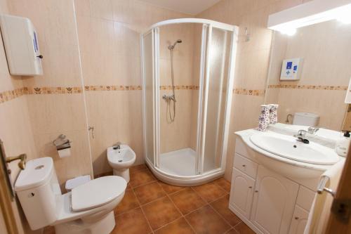 a bathroom with a shower and a toilet and a sink at Casa Martina Pampaneira in Pampaneira