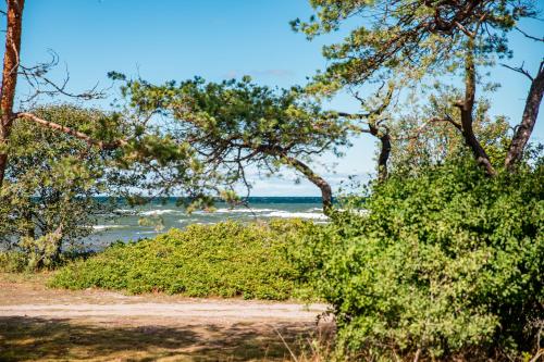 a beach with trees and the ocean in the background at Lickershamns Semesterby in Lickershamn
