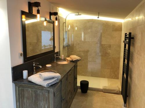 a bathroom with a sink and a shower at Le Loft sur les quais in LʼIsle-sur-la-Sorgue