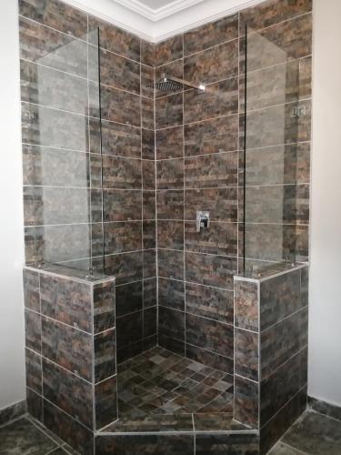 a bathroom with a shower with brown tiles at Ikamu's lodge in Germiston