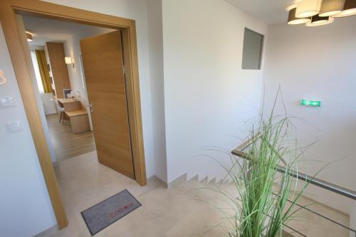 a hallway with a door and a potted plant at Apartments Freitag - H1 in Winden am See