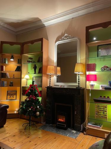 a living room with a christmas tree and a fireplace at Résidence Regina in Cauterets