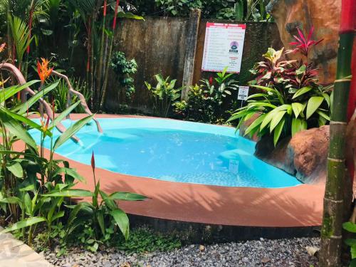 a swimming pool in the middle of a garden at Aunty Arenal Lodge in Fortuna