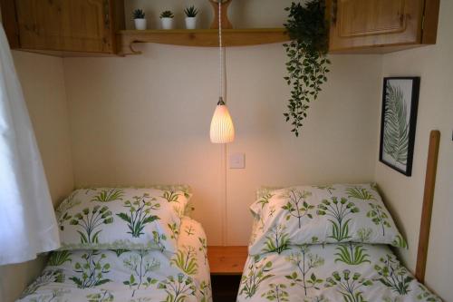 a bedroom with two beds and a lamp at Swallows Return in Clynderwen