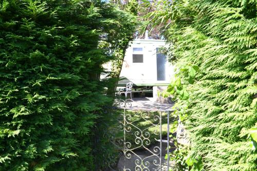 a gate in a hedge with a house in the background at Swallows Return in Clynderwen