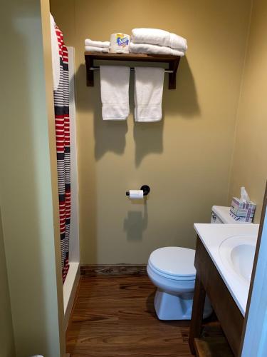 a bathroom with a toilet and a sink and towels at Lake Ontario Motel & Inn in Newfane