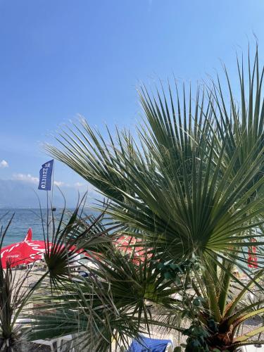 Gallery image of Hotel Azzurro in Herceg-Novi