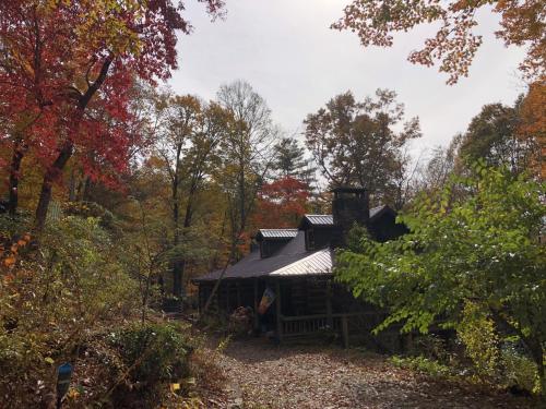 Eco-Friendly 'Garnet Cabin' in Blue Ridge Mountains! cabin