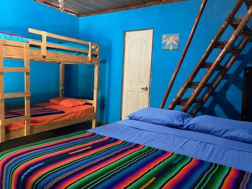 two bunk beds in a room with blue walls at Sunrise El Paredón in El Paredón Buena Vista