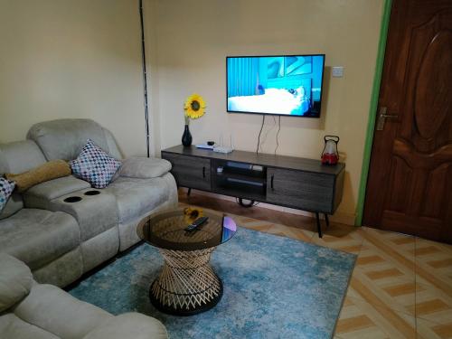TV a/nebo společenská místnost v ubytování Alken Homes - One Bedroom, Naivasha