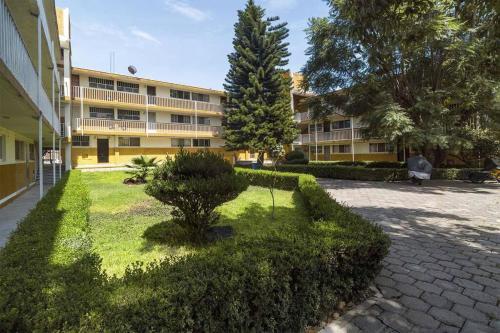 Κήπος έξω από το +MS +Suite Confortable + Centrica +Zaragoza A24