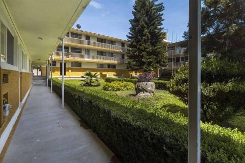 Κήπος έξω από το +MS +Suite Confortable + Centrica +Zaragoza A24