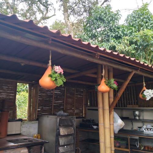a kitchen with pots and flowers hanging from a roof at El Refugio del Oso de Anteojos in Fómeque