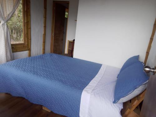 a blue and white bed in a room with a window at El Refugio del Oso de Anteojos in Fómeque