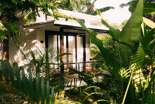 a house with plants in front of it at La Prometida in Puerto Viejo
