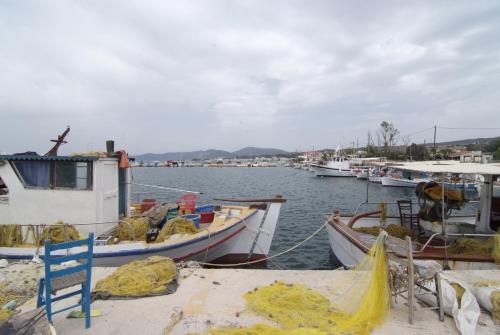 Φυσικό τοπίο κοντά σε αυτό το ξενοδοχείο διαμερισμάτων