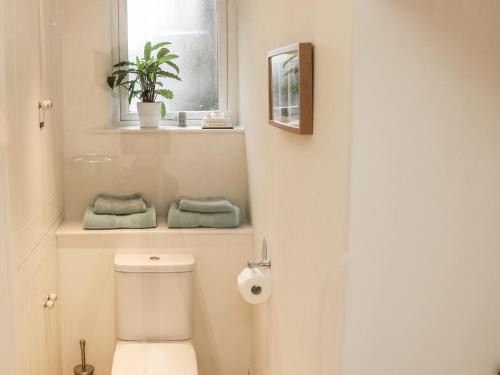 een badkamer met toilet, raam en plant bij 32A, Buxton in Buxton