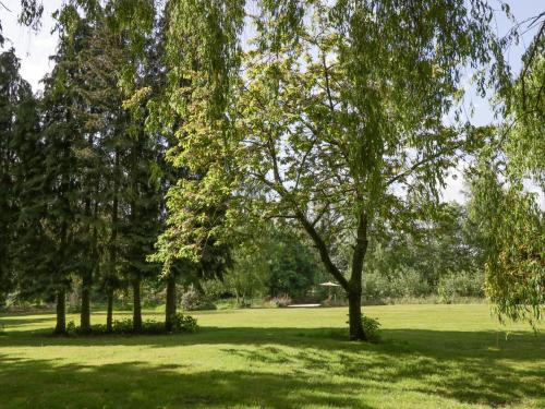 a group of trees in a grass field at The Lodge in Brandon