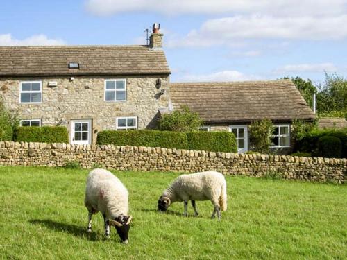 two sheep grazing in a field in front of a house at Curlew Cottage in Barnard Castle