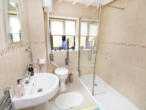 een badkamer met een douche, een toilet en een wastafel bij Emily's Retreat at the Great Barn in Great Dunham