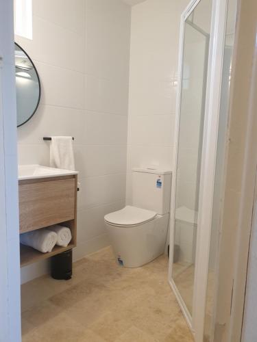 a bathroom with a toilet and a sink and a mirror at Sandpiper Motel Ulladulla in Ulladulla