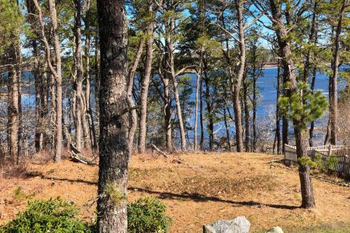 Gallery image of Blackfish Bungalow in Wellfleet