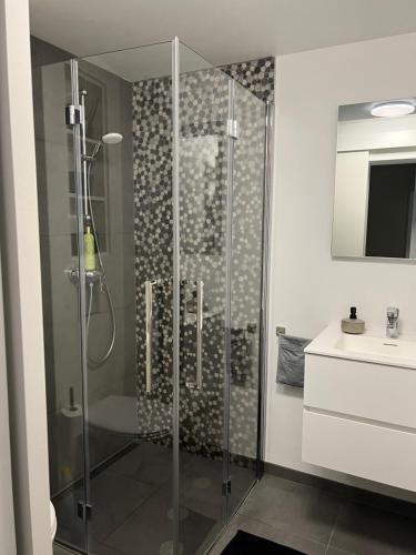 a bathroom with a glass shower with a sink at Les Duplex de la Place des Ecoles in Spa