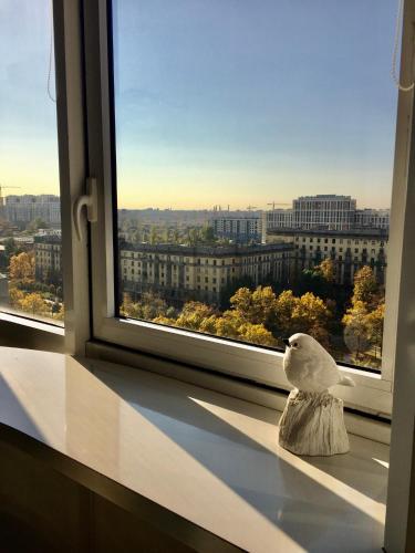 White days & nights, Sankt Petersburg, Rusia