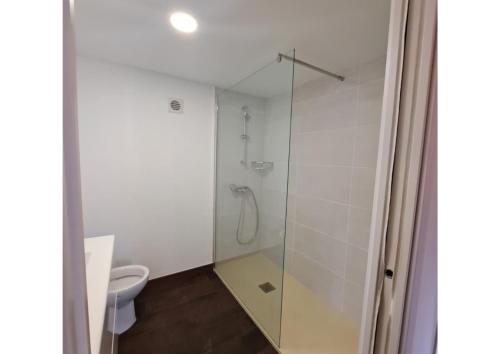 a bathroom with a glass shower with a toilet at RK La Casona de Tejeda in Tejeda