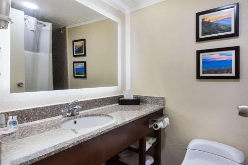 Bilik mandi di Comfort Inn Kings Mountain