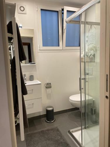 une salle de bain avec toilettes et douche en verre dans l'établissement Bel appartement au cœur de paris, à Paris
