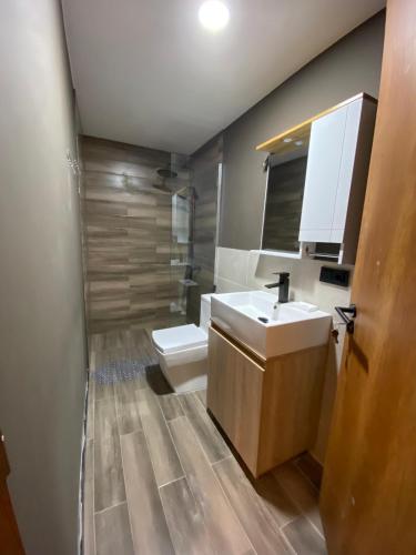 a bathroom with a sink and a toilet at Marshall Apartment 202 in Gudauri
