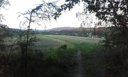 eine unbefestigte Straße auf einem Feld mit Bäumen und einem Feld in der Unterkunft Malé útulné studio s koupelnou a kuchyňkou in Svinařov