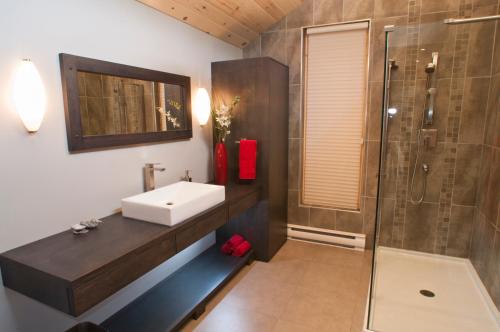 a bathroom with a sink and a shower at Chalet Paradis de Charlevoix in Baie-Saint-Paul