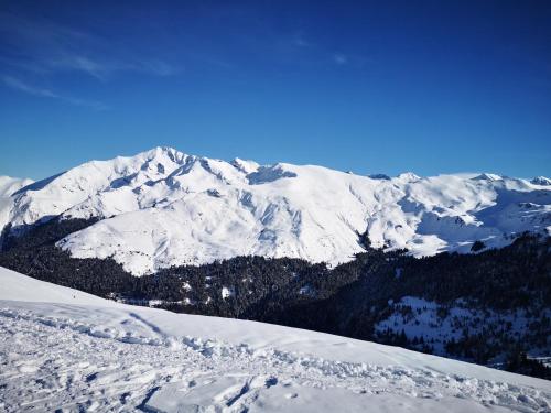 a snow covered mountain with trees in front of it at L'Argalyde Esprit Pyrénées Wellness & Cycling in Ayzac-Ost