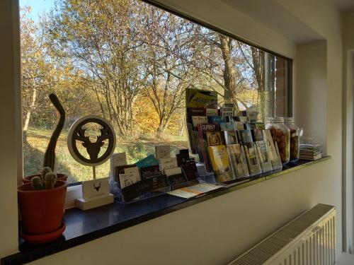 a window with a display of books on a shelf at B&B Les Lits de Nohaipré in Rendeux