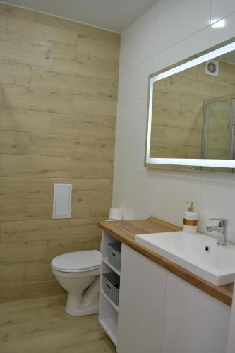 La salle de bains est pourvue de toilettes, d'un lavabo et d'un miroir. dans l'établissement Honey Bunny, à Krementchouk