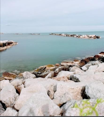 a group of rocks next to the water at Hotel Riposo in Gatteo a Mare