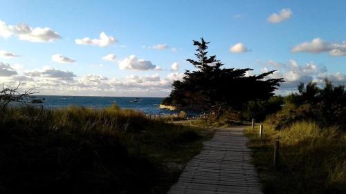 a brick path next to the ocean with a tree at Ty Dag - La Désirade proche plage et jacuzzi in Roscoff