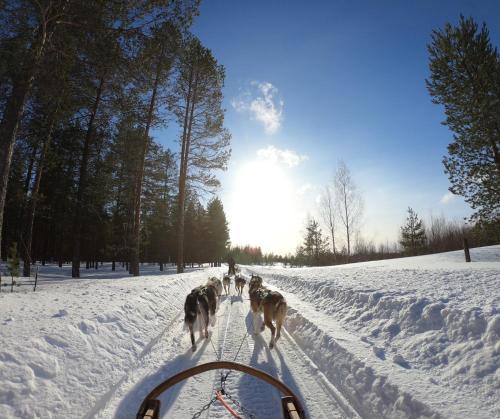 a group of horses being pulled on a snow covered road at L'Argalyde Esprit Pyrénées Wellness & Cycling in Ayzac-Ost