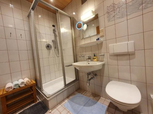 a bathroom with a shower and a toilet and a sink at Appartements Winter Anita in Flachau