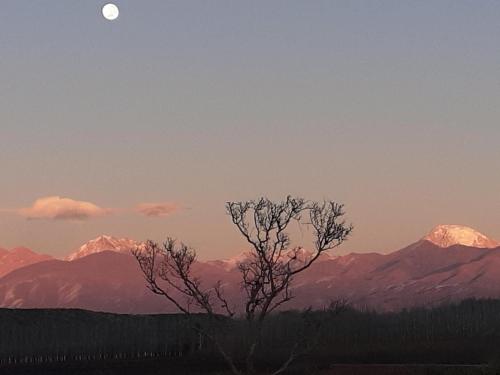 a tree in the foreground with mountains in the background at Lodge Atamisque in San José