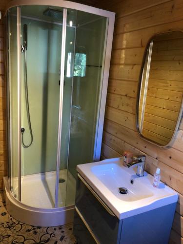a bathroom with a sink and a shower at Chalet de La Source in Rognac