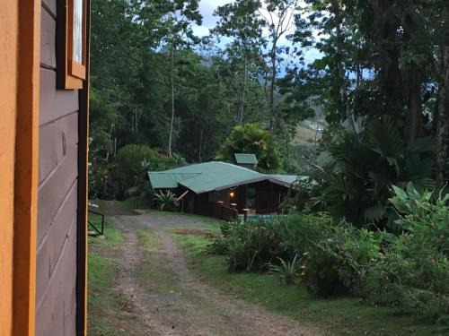 a building with a green roof next to a dirt road at Bella Vista Ranch Ecolodge in Turrialba